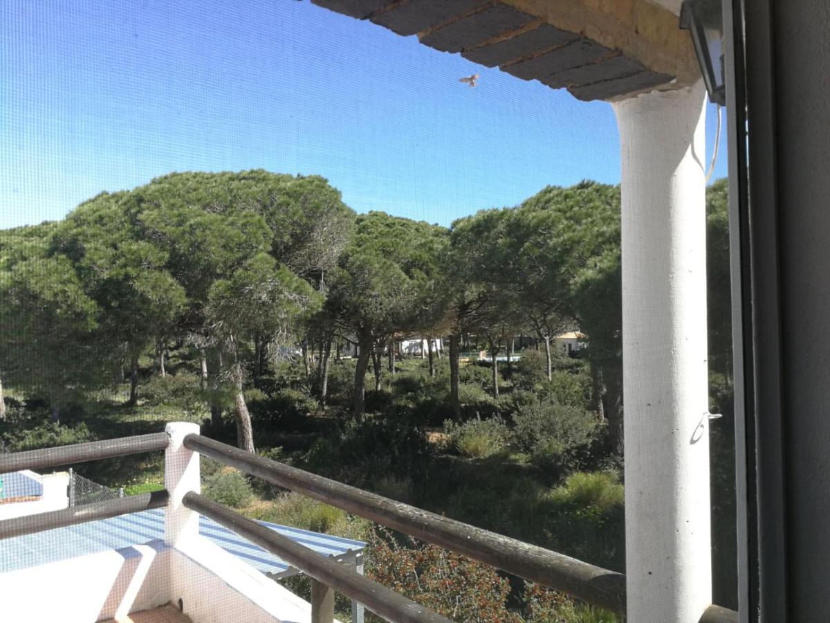 Villa Conil Conil De La Frontera Zewnętrze zdjęcie